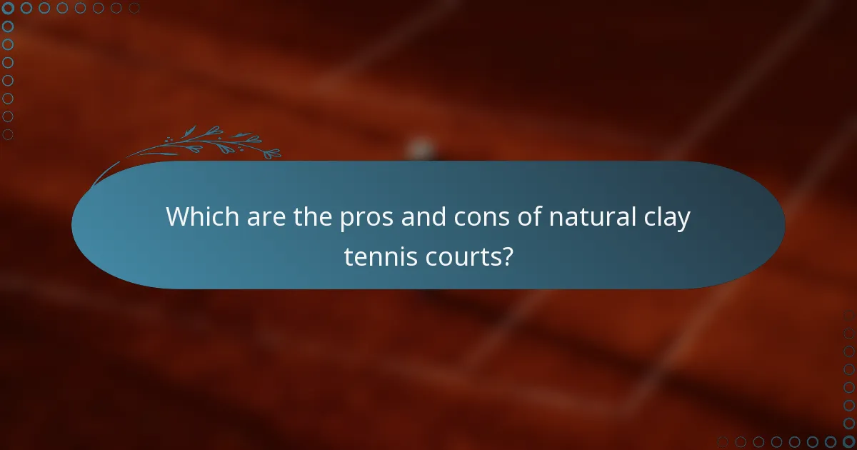 Which are the pros and cons of natural clay tennis courts?